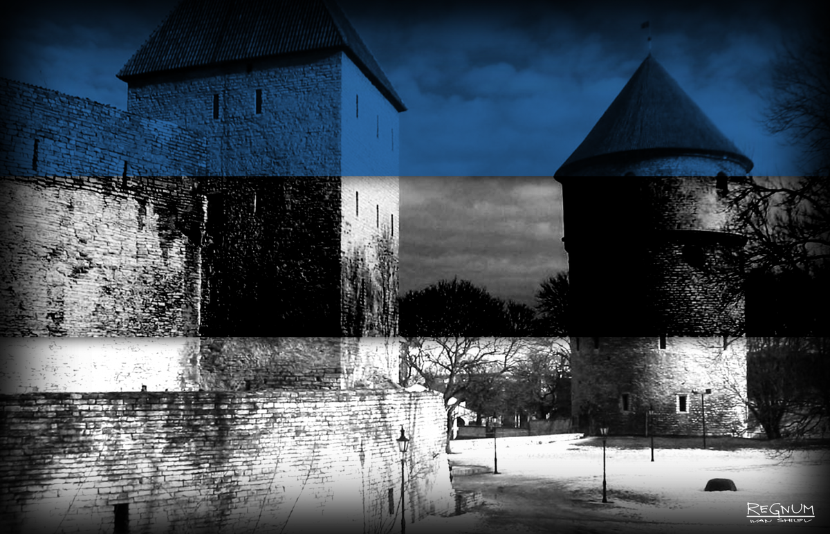    Эстония / Источник: Иван Шилов © ИА REGNUM