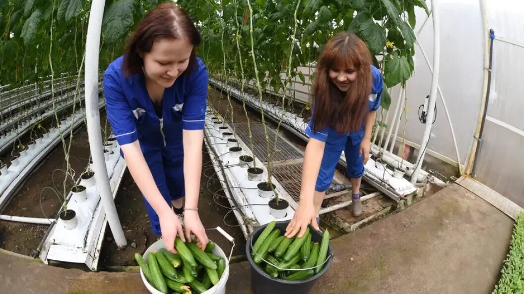    Фото Олега Рукавицына