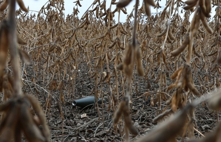    Наталья Шатохина/NEWS.ru