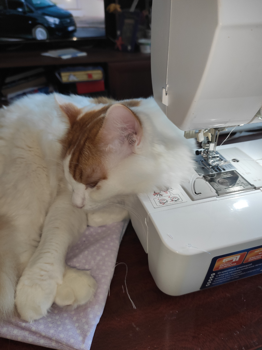 Помошница была, стал помошник