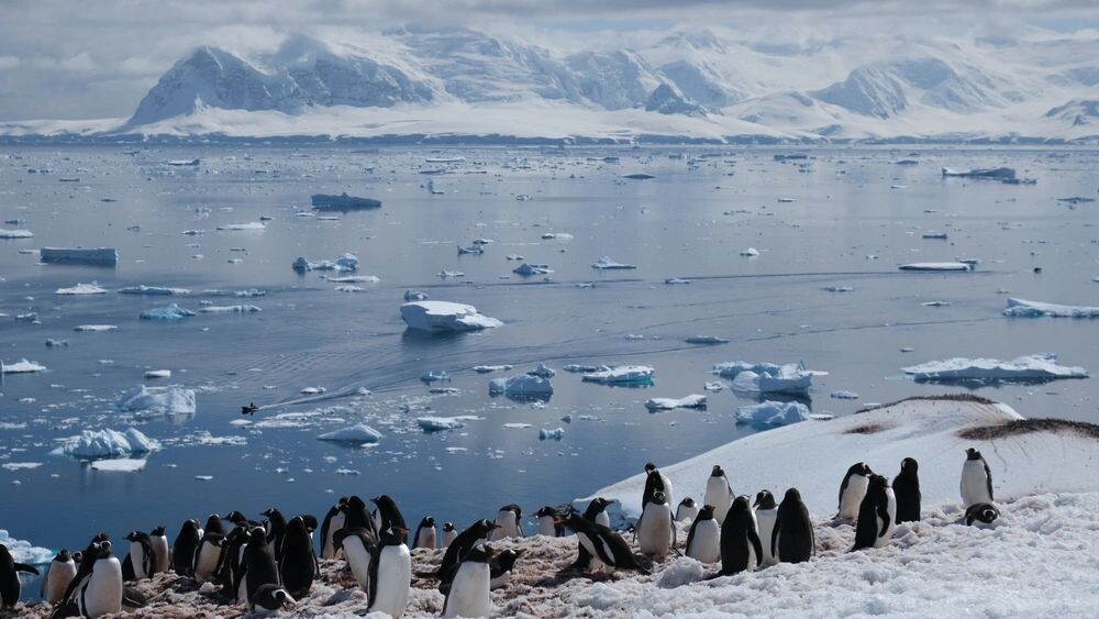    Фото: Alejandro Renzo Lim/Shutterstock/Fotodom