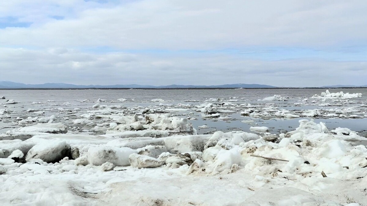     Источник: Пресс-служба комитета по гражданской защите правительства Хабаровского края