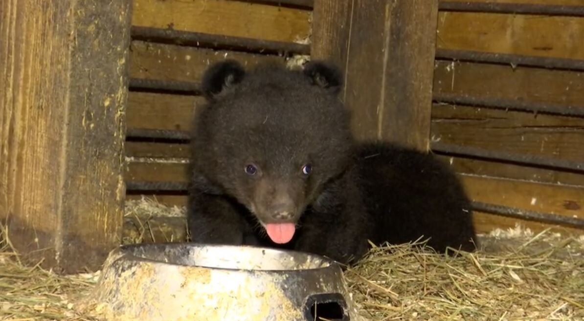     Источник: @minles_pk