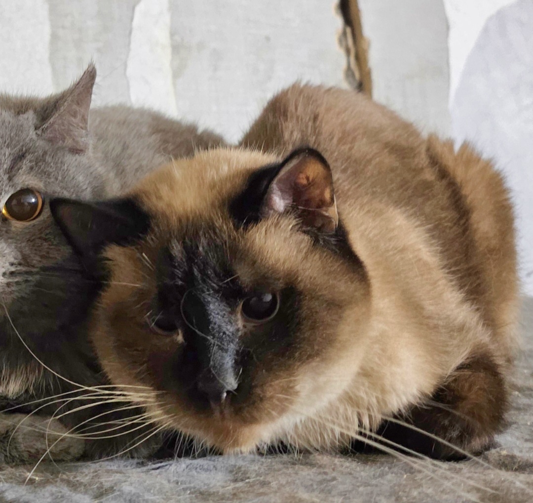 Фото автора. Ди.