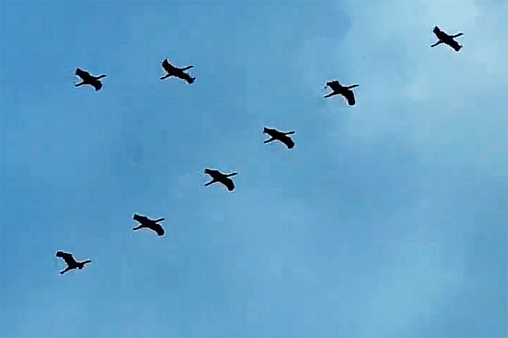    Фото: "Краснозерская новь"