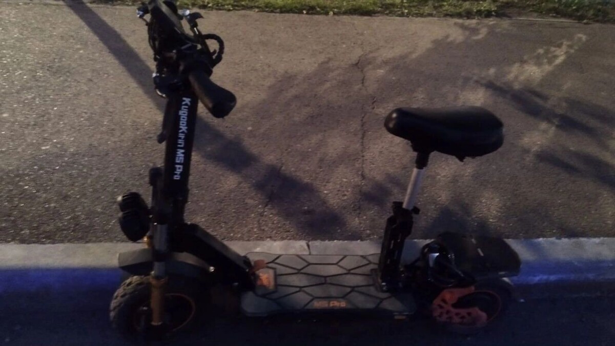     Источник: Прокуратура Красноярского края