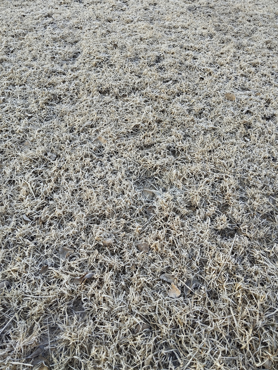 Вот так, например