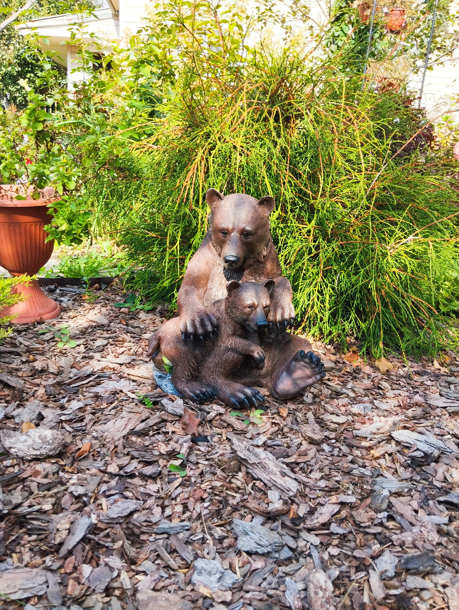 Личное фото автора канала