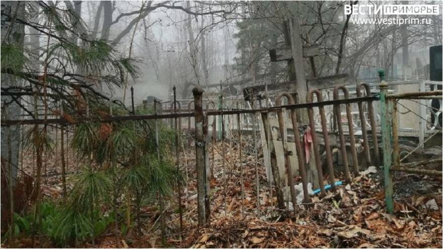    Источник фото: