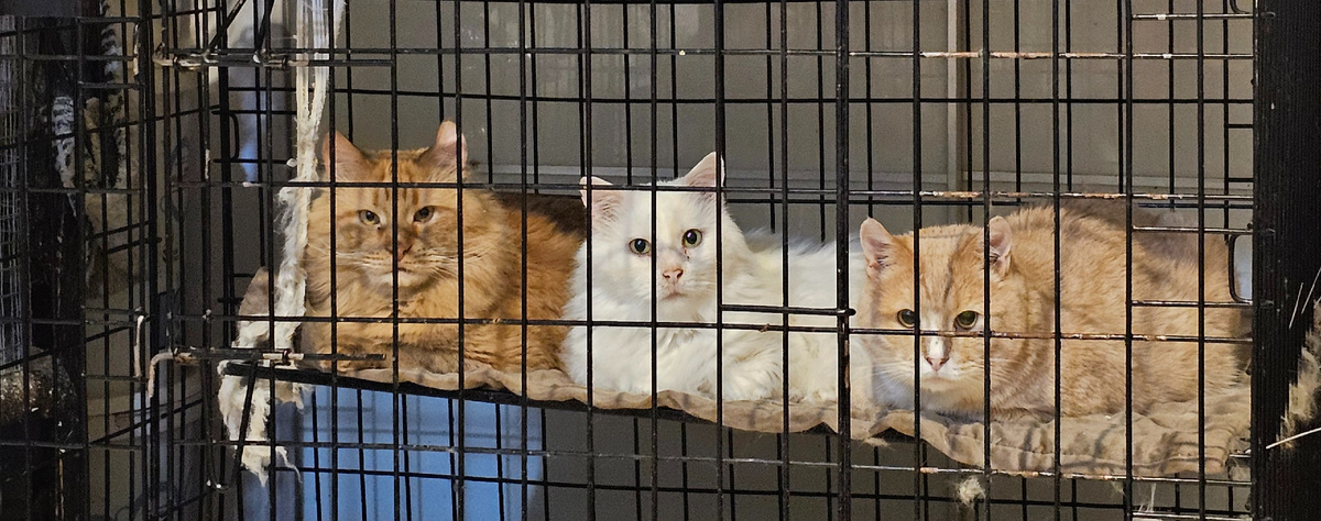 Фото автора. Ребята.