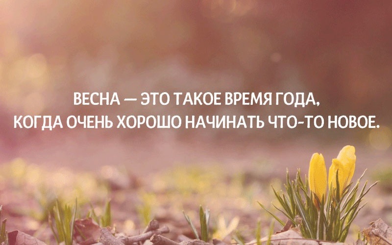 харуки мураками