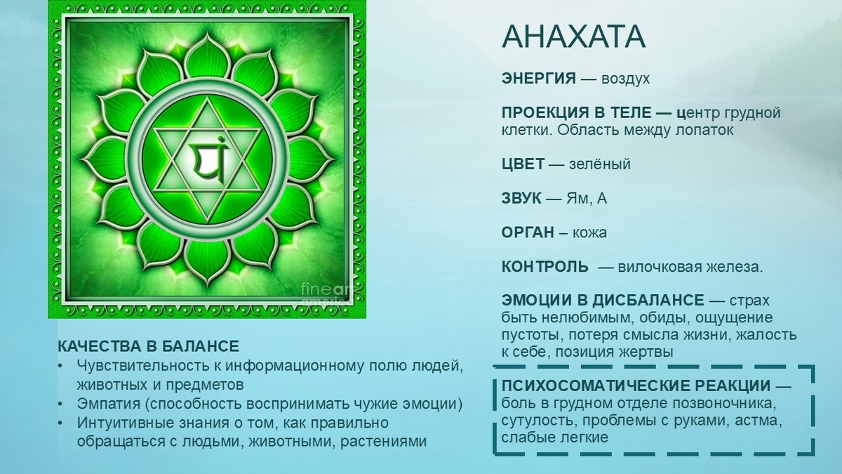 Четвертая чакра Анахата. Коллаж Йога на здоровье