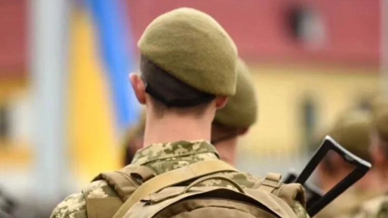    Фото: Bumble Dee/Shutterstock/Fotodom