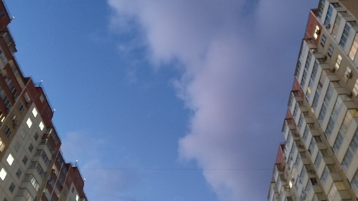    Фото: телеканал «Краснодар»