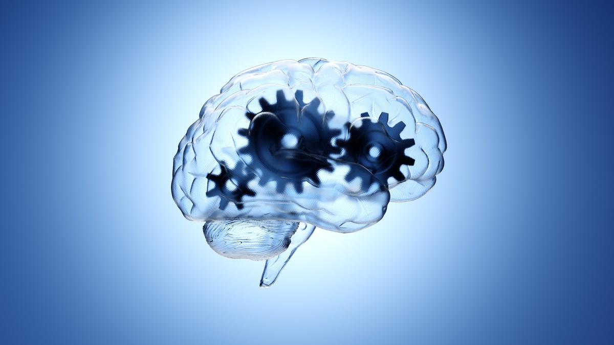    Доказательства против свободы воли ученые интерпретируют неверно