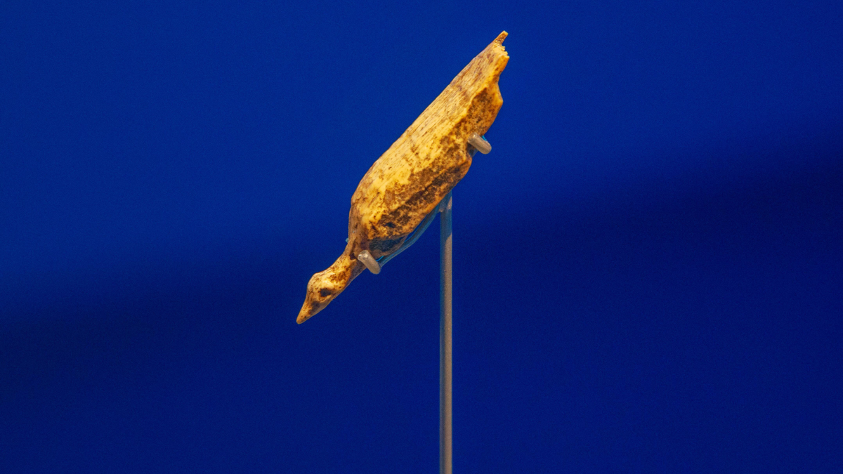    Древнейшее изображение птицы в мире Hohle Fels water bird