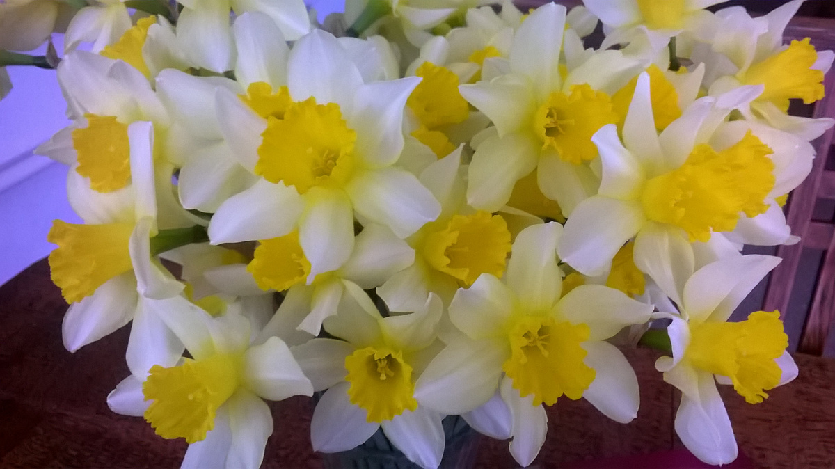 Просто весеннее фото