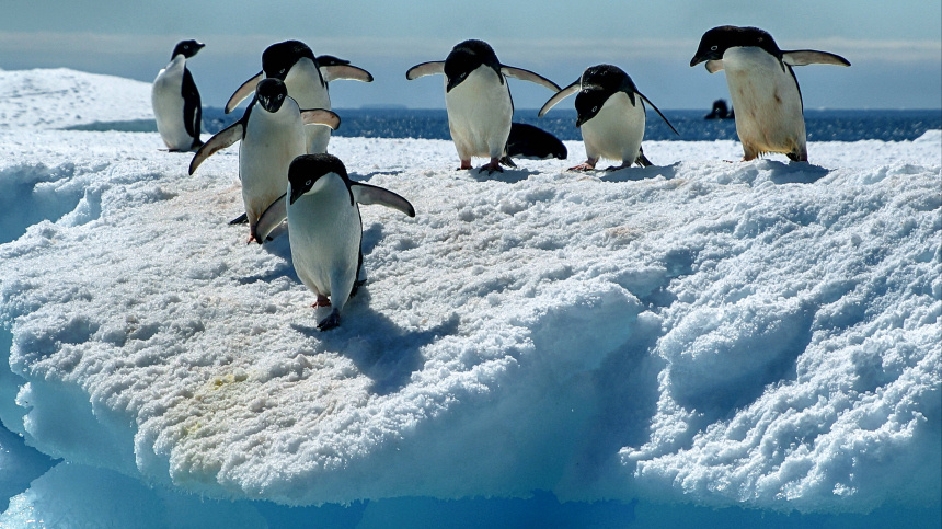    Фото: www.globallookpress.com/IMAGO/McPHOTO/Sigrid Wolf-Feix