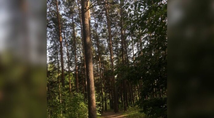    Фото Дарьи Шевцовой