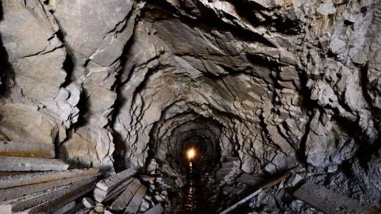    Фото: Albert Russ/Shutterstock/Fotodom