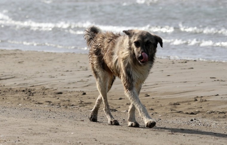    Алексей Белкин/NEWS.ru