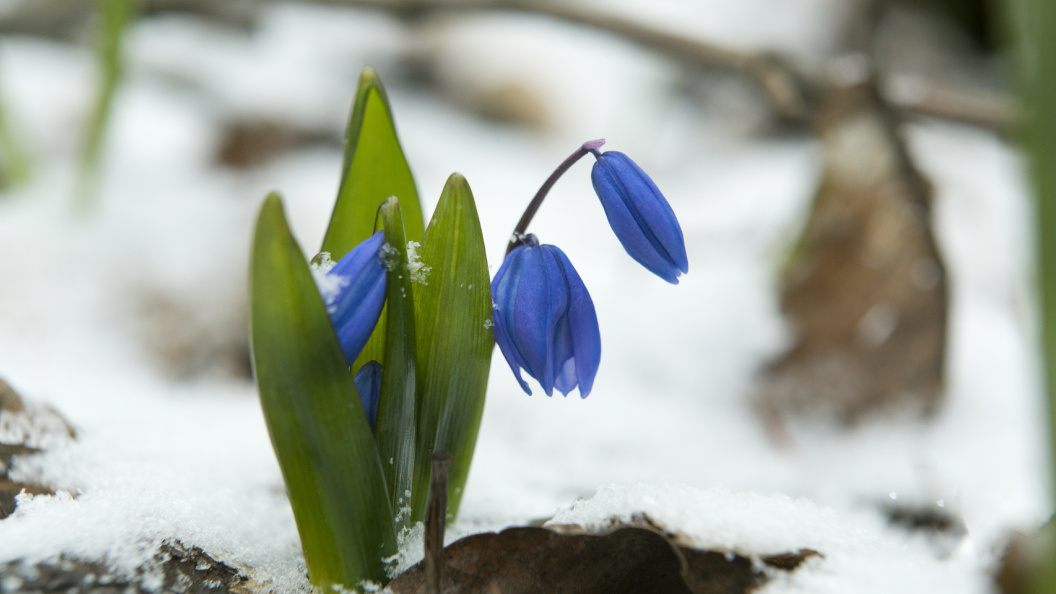    Nikolay Gyngazov/Globallookpress