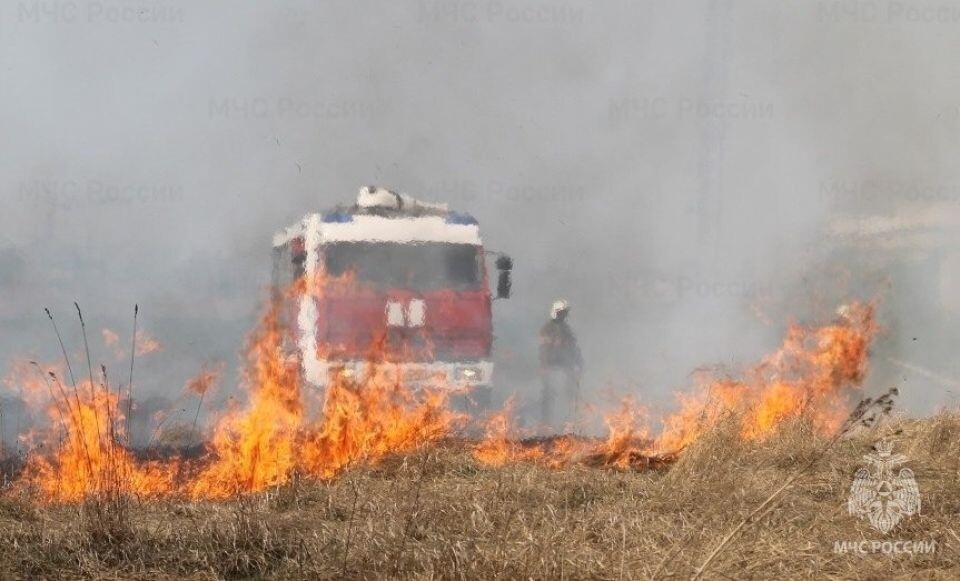    Возгорание травы. Пожар. Источник: ГУ МЧС по Алтайскому краю