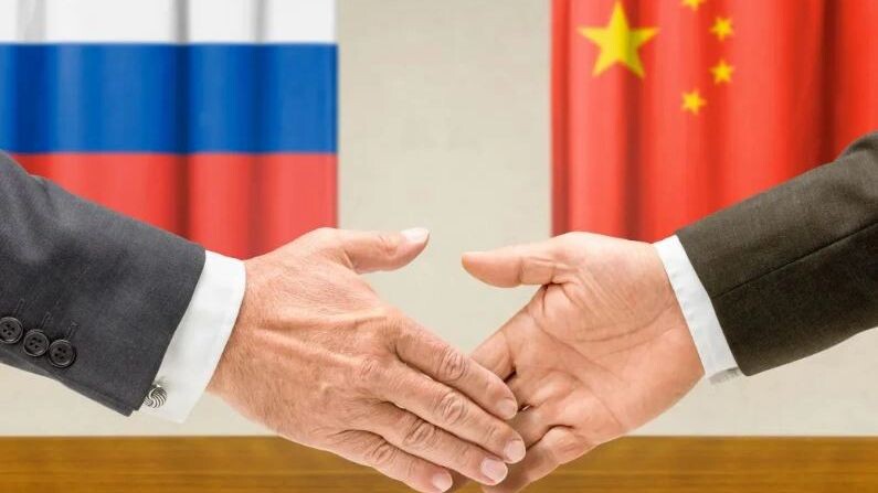    Фото: Zerbor/Shutterstock/Fotodom