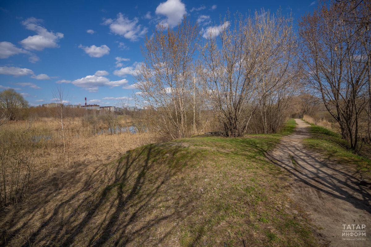 Фото: © Владимир Васильев / «Татар-информ»