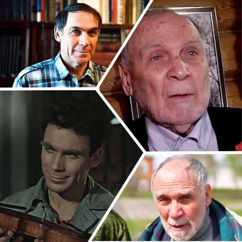 Фото из открытого источника 