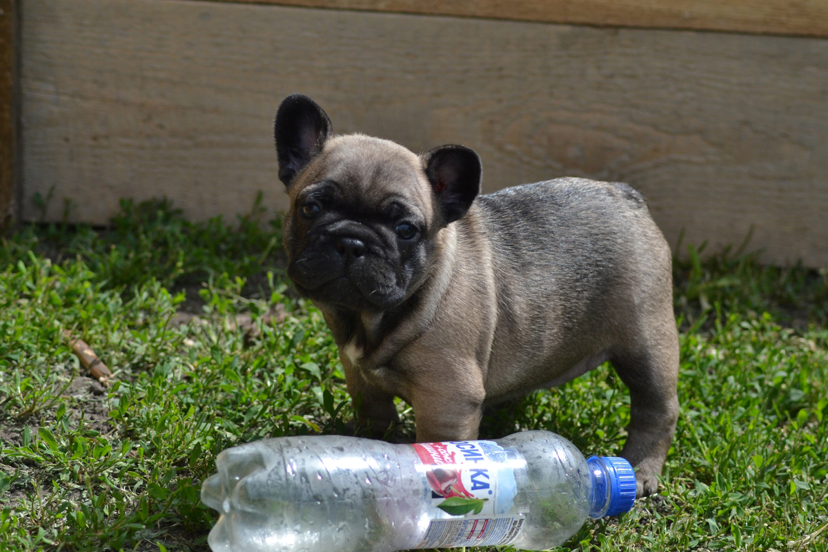 честно не знаю кто это, вохможно Ева