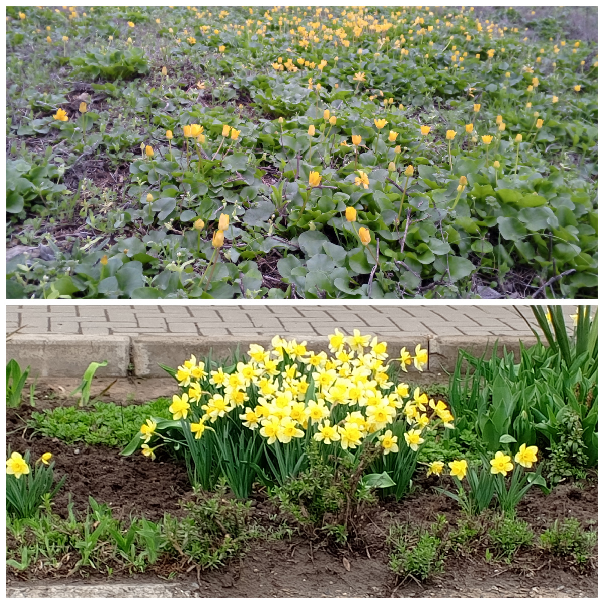 Фото авторов