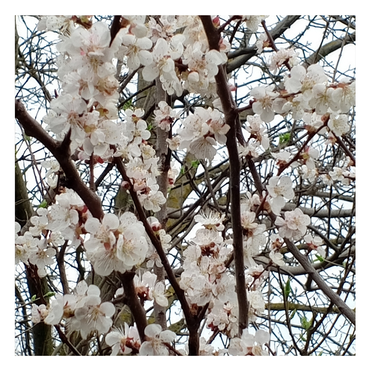 Фото авторов