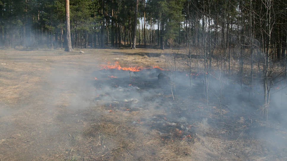 Фото: Максим Кимерлинг / Коммерсантъ
