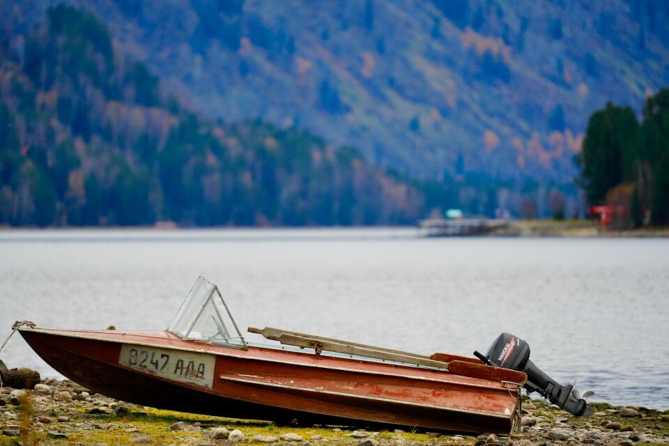    Телецкое озеро. Источник: Андрей Сороко / "Толк"