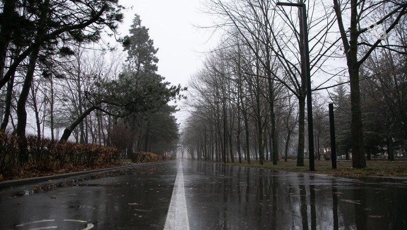      Фото: Валерия Алтухова / / ИА «Победа26»