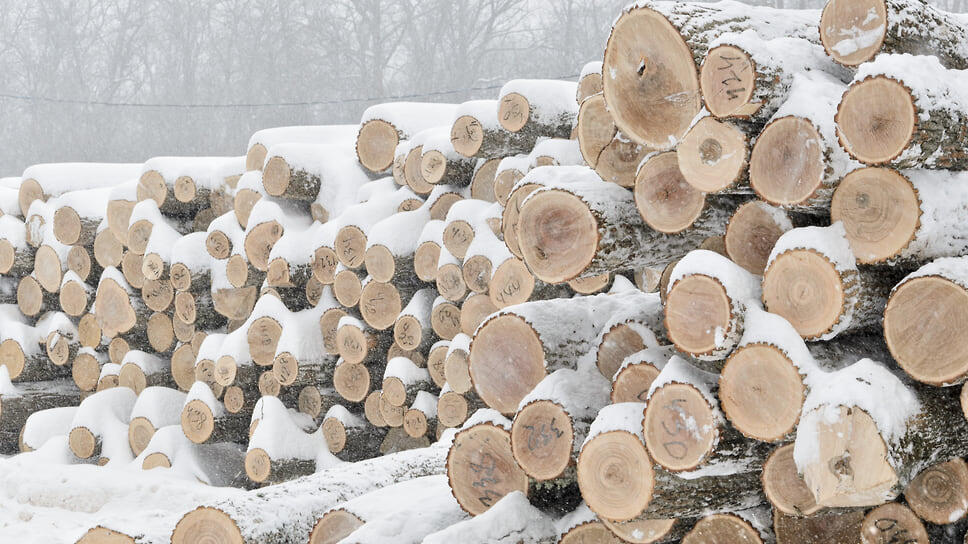 Фото: Игорь Елисеев / Коммерсантъ