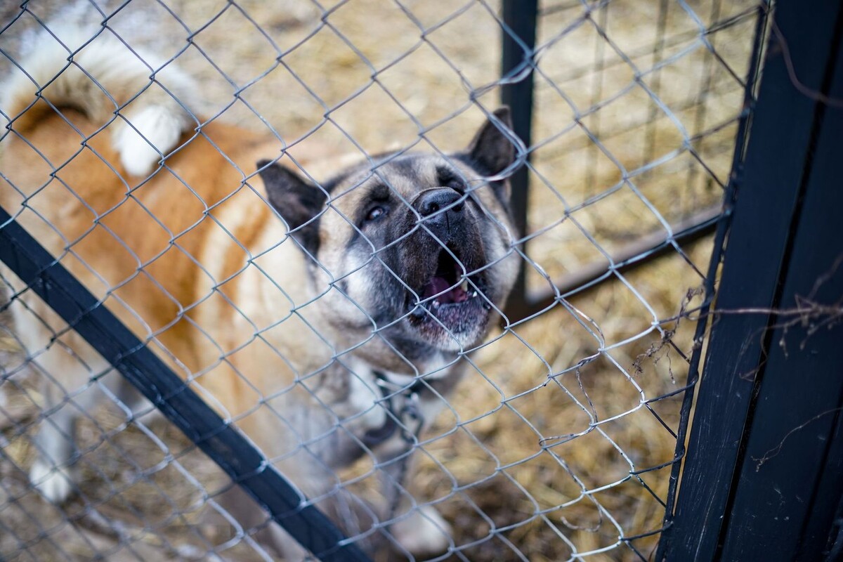     / Источник: © ИЗВЕСТИЯ/Сергей Лантюхов