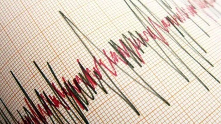    Фото: menur/Shutterstock/Fotodom