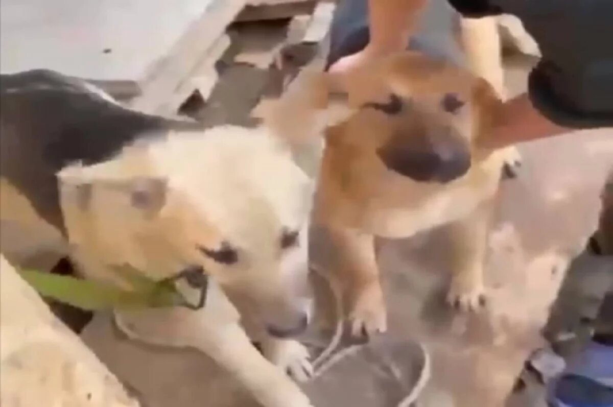    По итогу администрации Владивостока предоставили более подробные сведения об этой ситуации