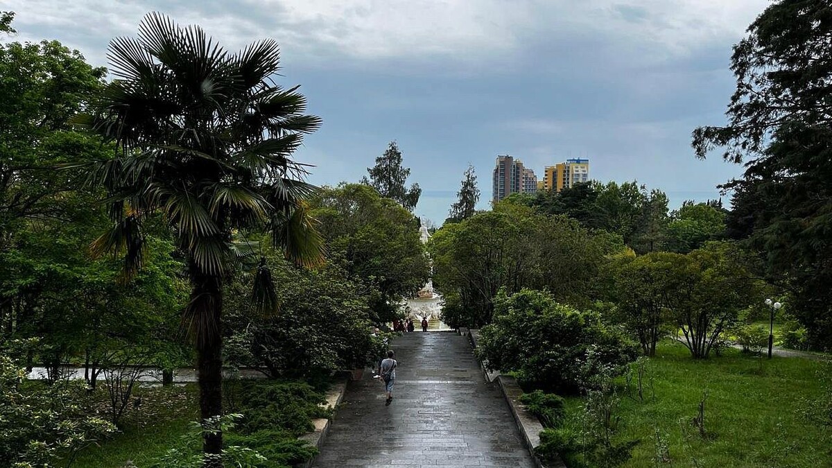    Фото: телеканал «Краснодар»