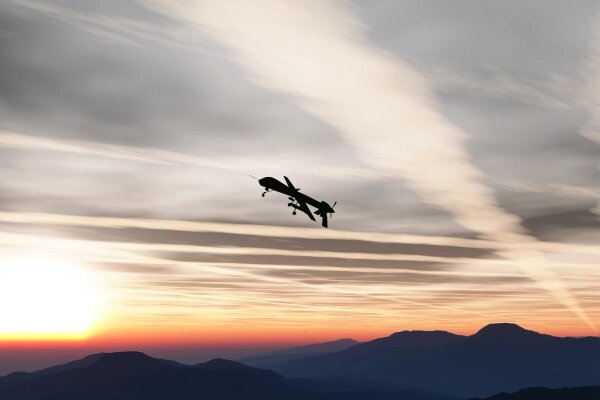 Shutterstock / FOTODOM / boscorelli