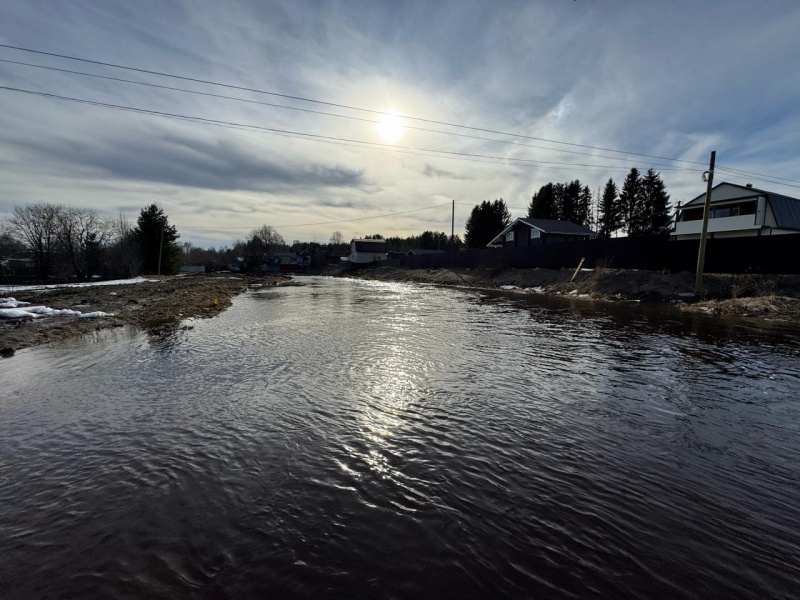    Спасатели выехали в поселок Карелии, где жители испугались подтопленияГосударственный комитет Карелии по ОЖ и БН