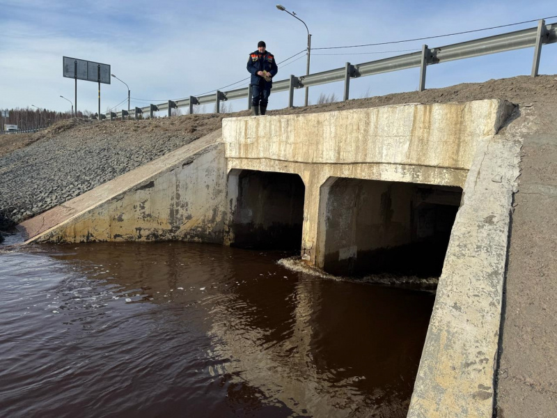    Спасатели выехали в поселок Карелии, где жители испугались подтопленияГосударственный комитет Карелии по ОЖ и БН