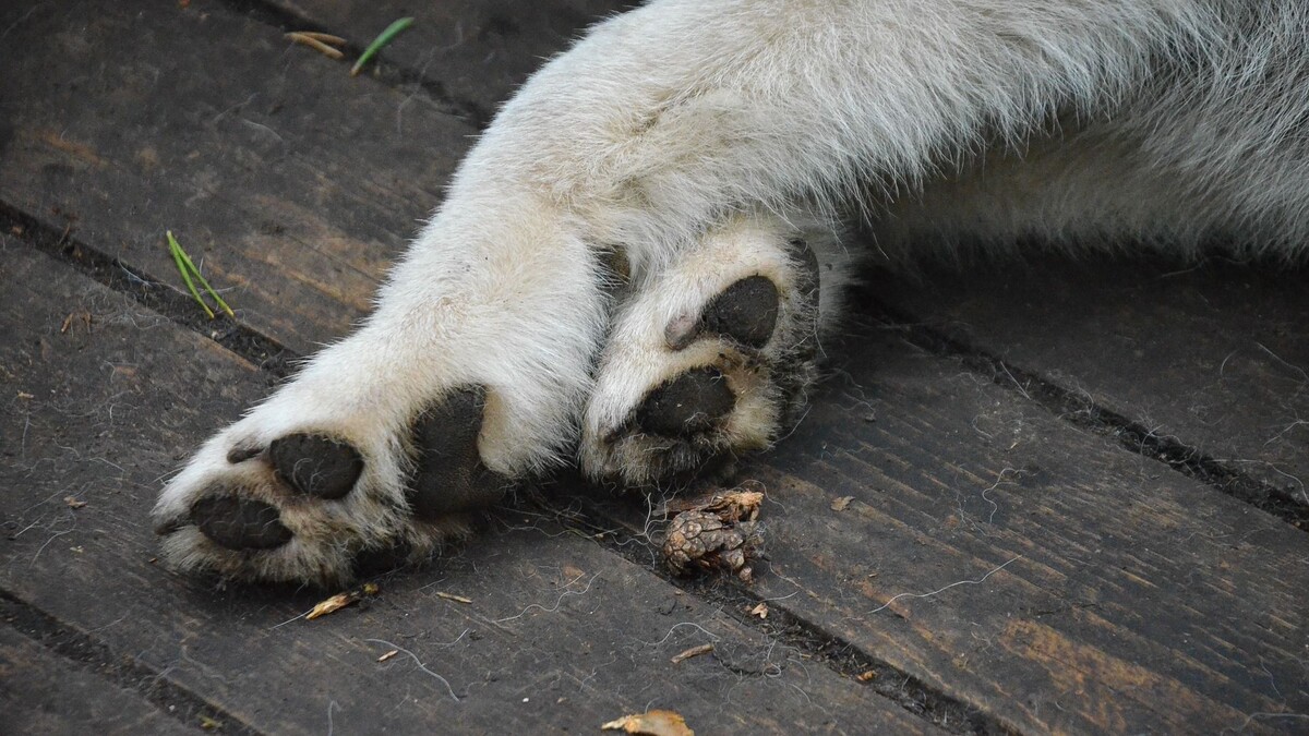     Источник: 1MI