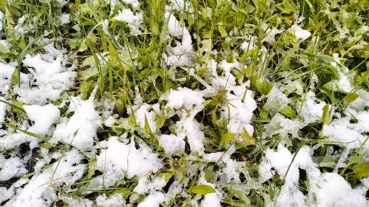     Источник: 1MI