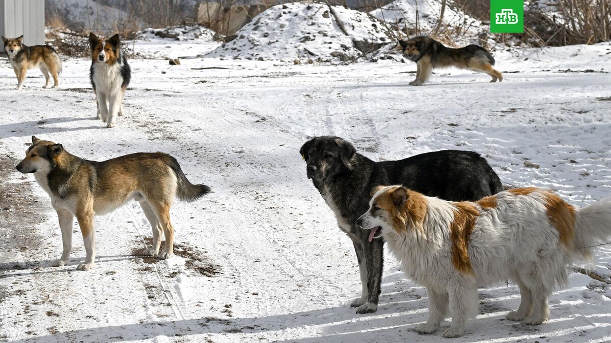    Фото: РИА Новости © 2025, Илья Наймушин