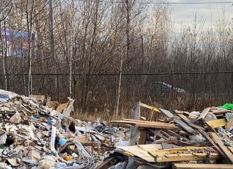    Фото: Минэкологии Московской области