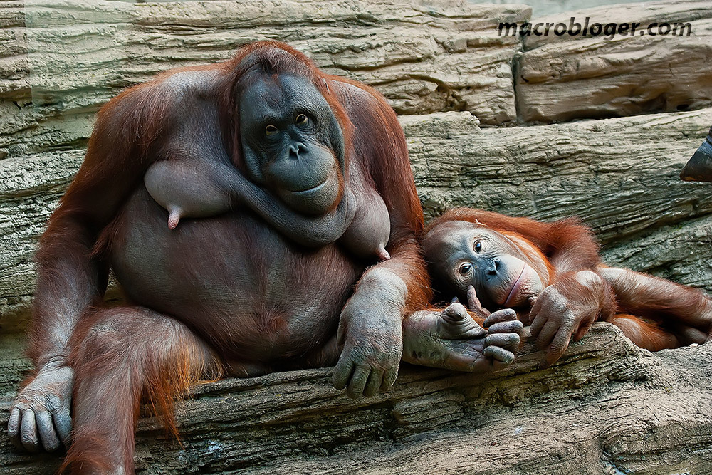 Мы лесные люди не местные, подайте, кто что может