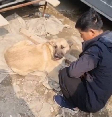    Источник фото: